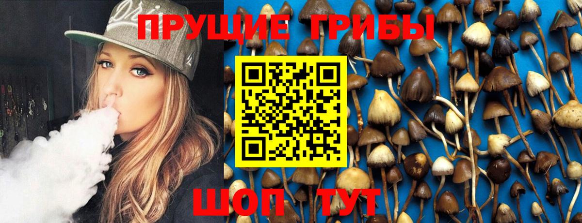 Псилоцибиновые грибы прущие грибы  Псилоцибиновые грибы мицелий  Вход с VPN  где купить наркоту  Минусинск 